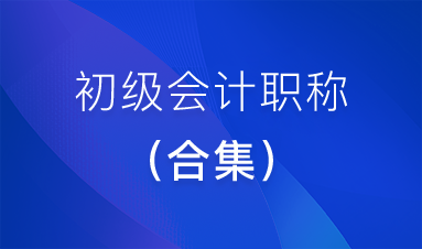 【2022年初级会计师 | 全2科】2022年初级会计师全套视频教程+辅导讲义+电子资料